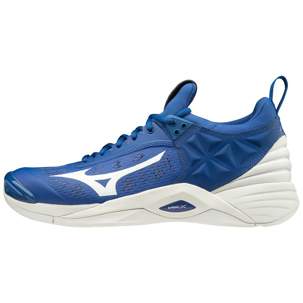 Mizuno Men's Wave Momentum Volleyball Shoes Blue/White (430261-EVK)